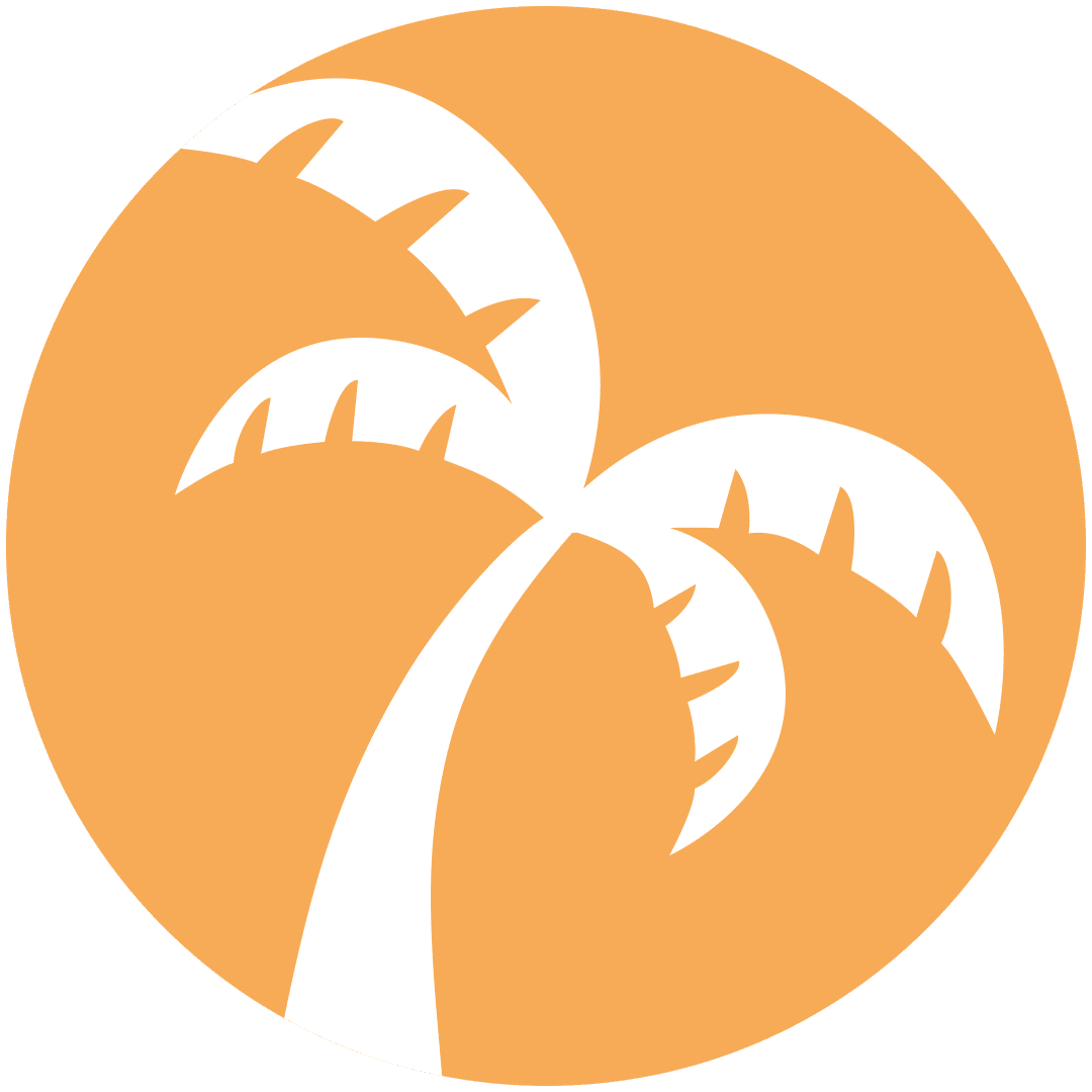 Strandbar Leverkusen
